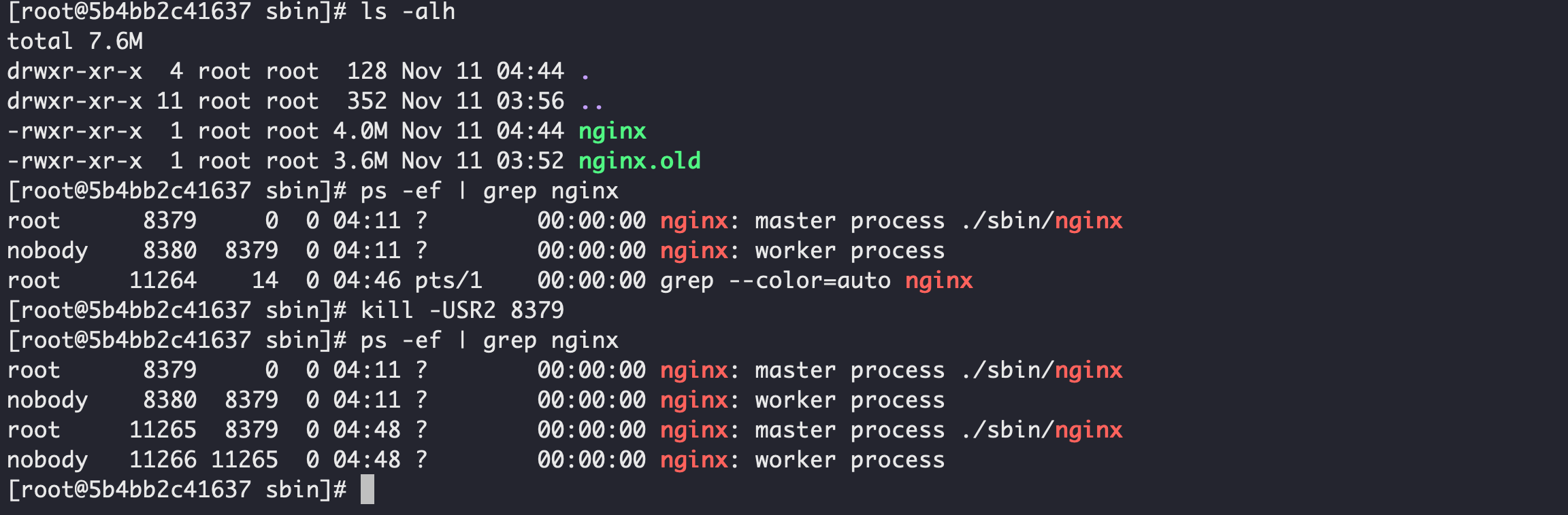 查看正在运行的nginx进程